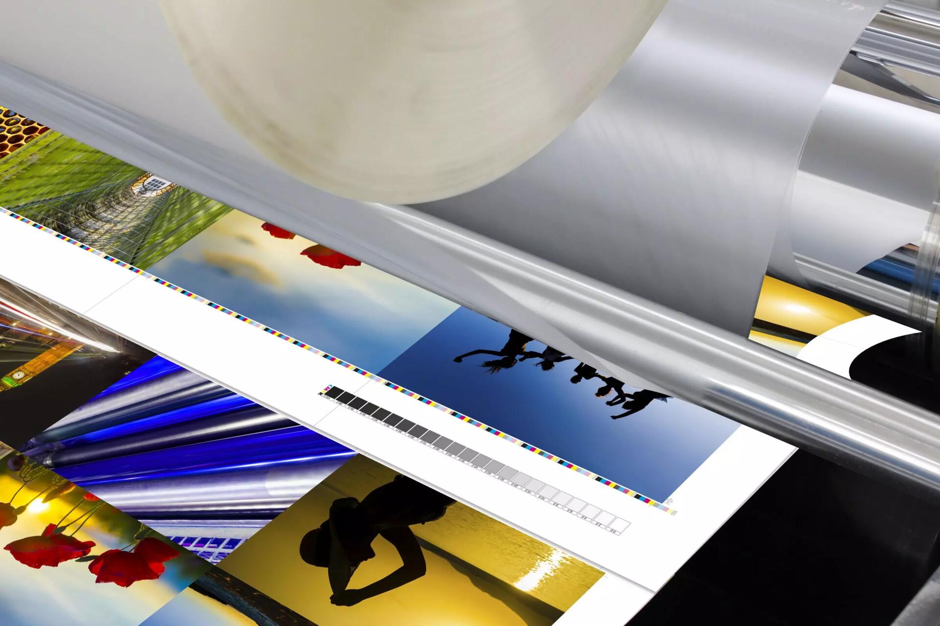 Vinyl + laminls